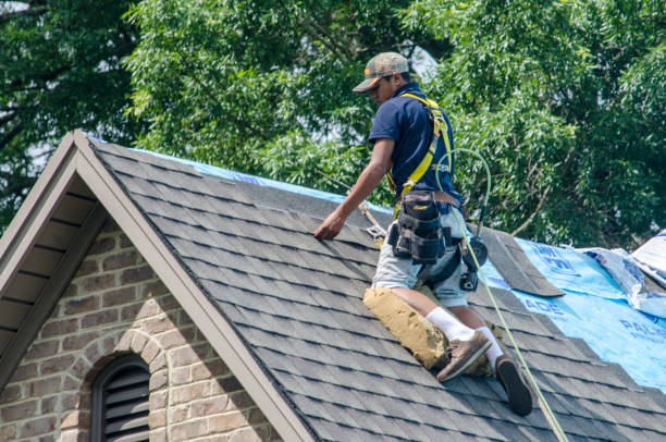 Best Roof Maintenance Services  in Okolona, MS
